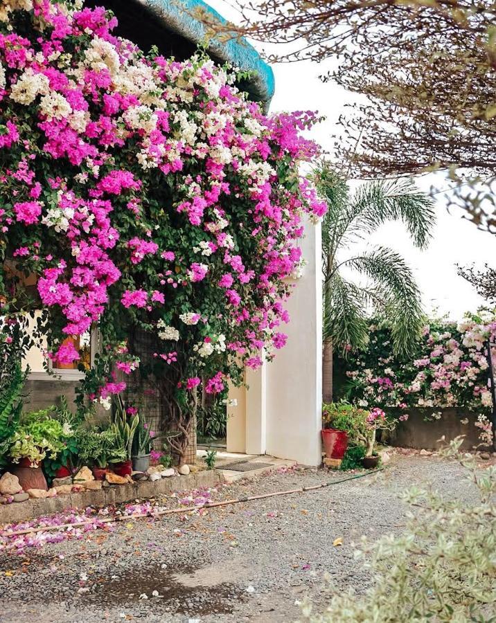 Airport View Hotel Vigan Exterior foto